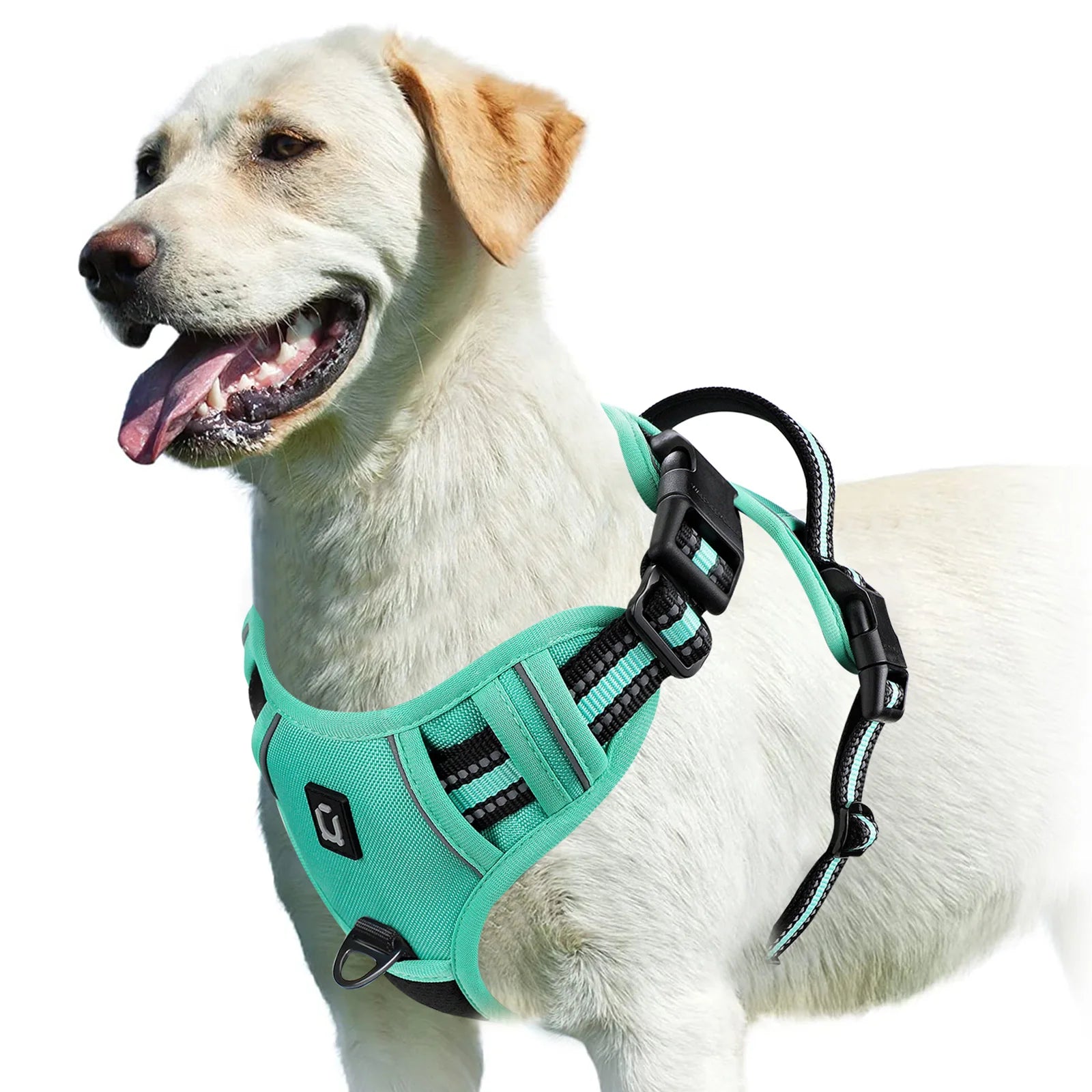 Peitoral Vest Anti-Puxão Acolchoado com Alça de Controle e Refletivo para Cães