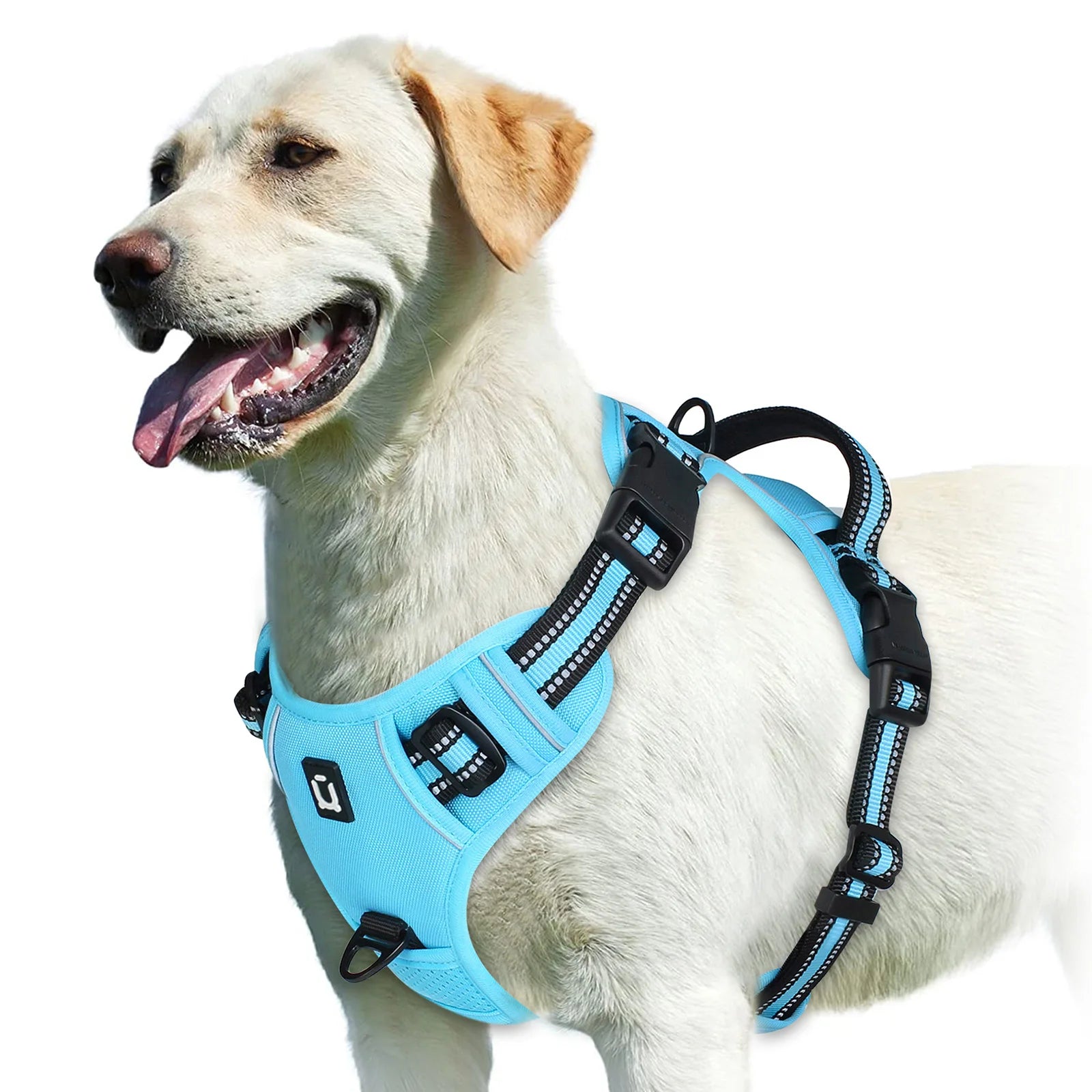 Peitoral Vest Anti-Puxão Acolchoado com Alça de Controle e Refletivo para Cães