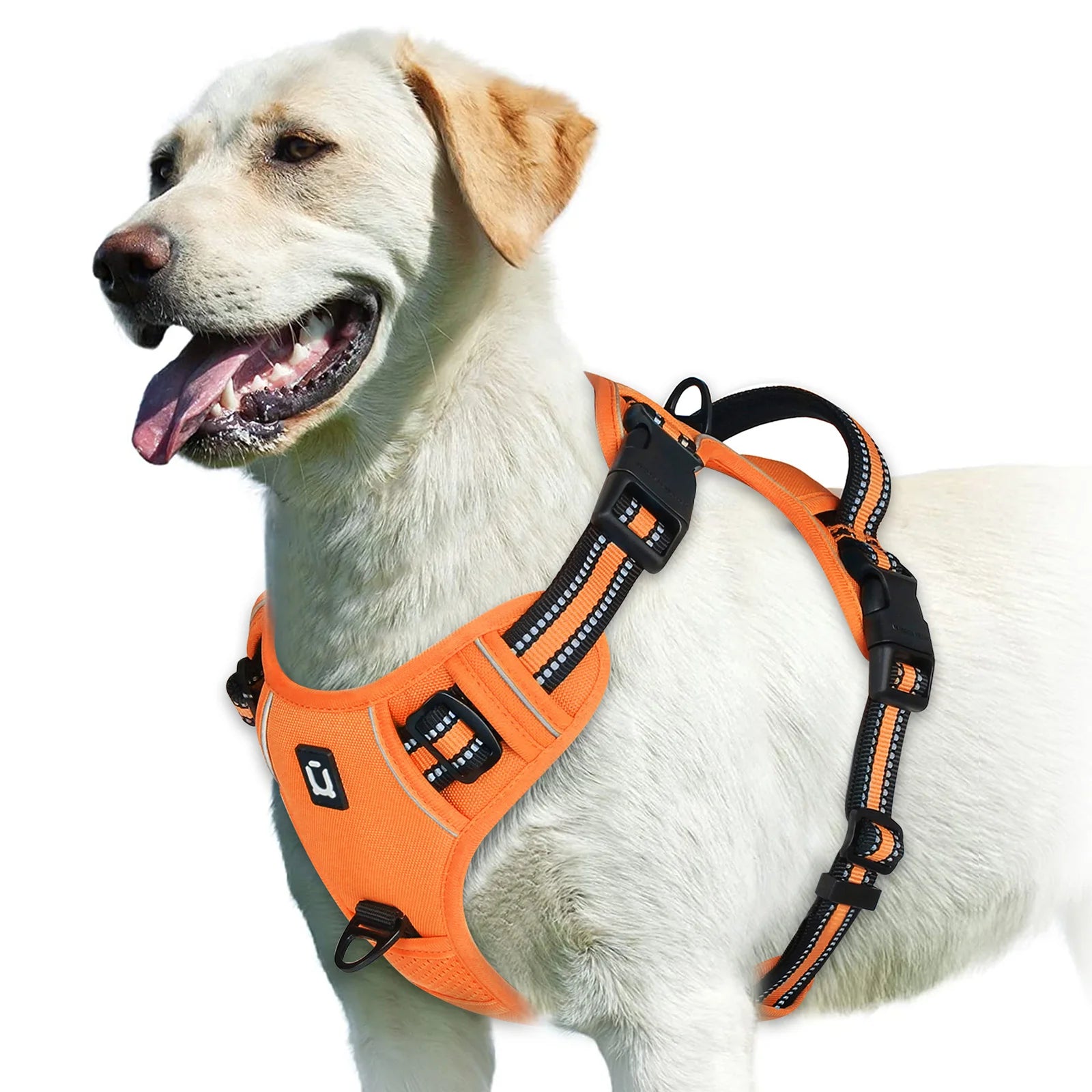 Peitoral Vest Anti-Puxão Acolchoado com Alça de Controle e Refletivo para Cães