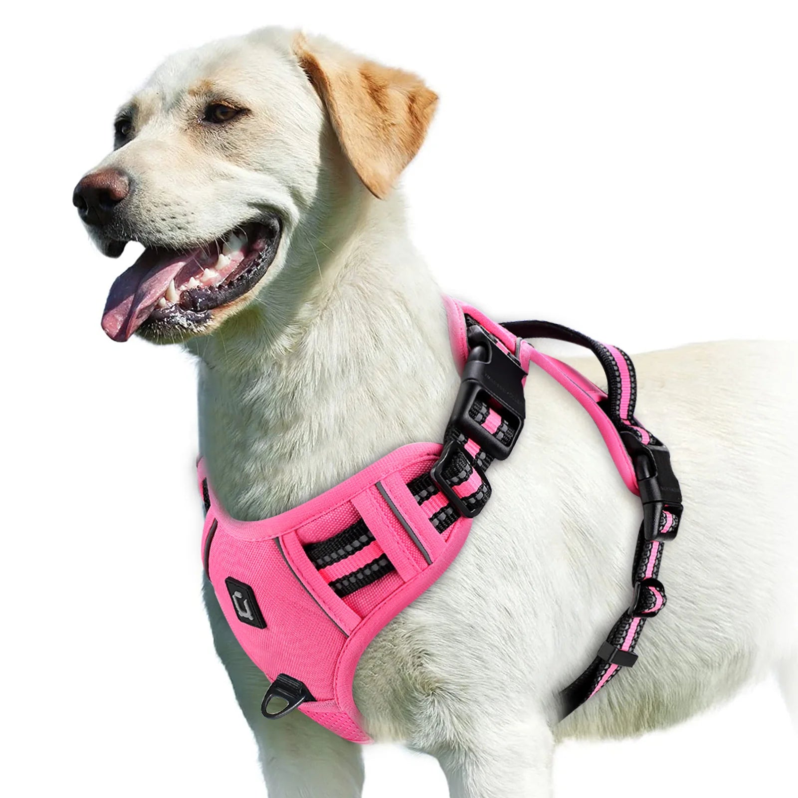 Peitoral Vest Anti-Puxão Acolchoado com Alça de Controle e Refletivo para Cães