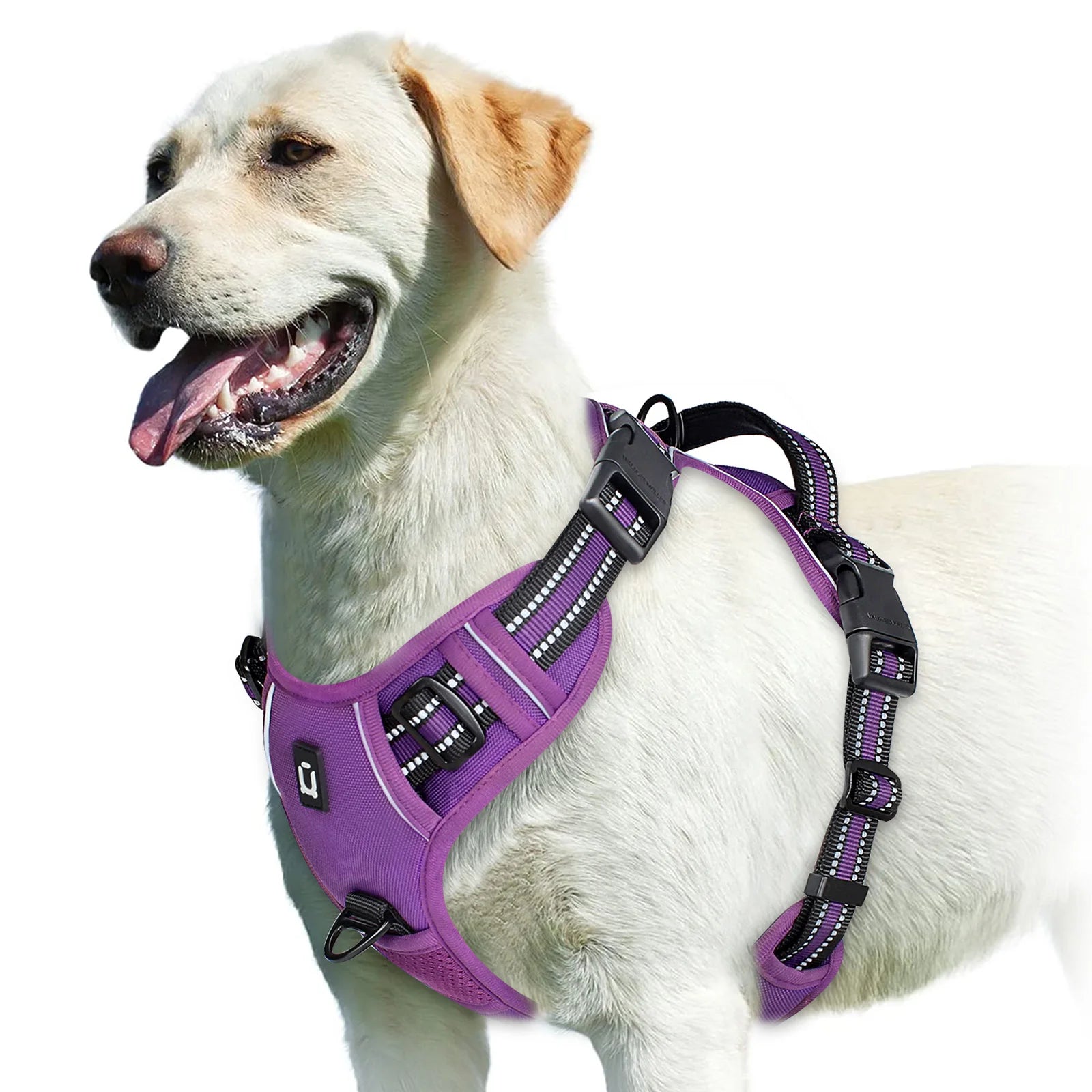 Peitoral Vest Anti-Puxão Acolchoado com Alça de Controle e Refletivo para Cães